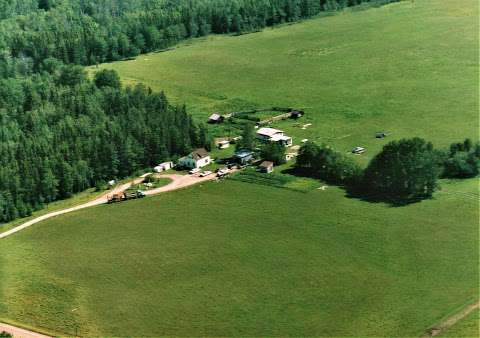 Symes Family Farm